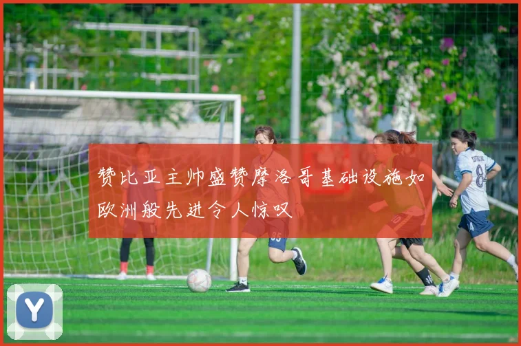 赞比亚主帅盛赞摩洛哥基础设施如欧洲般先进令人惊叹